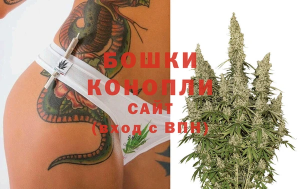PSILOCYBIN Верхний Тагил