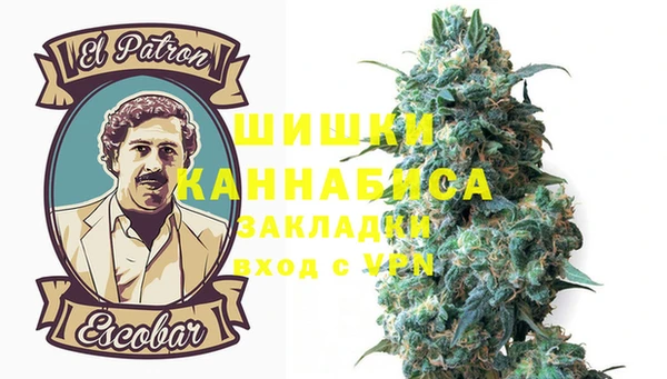 PSILOCYBIN Верхний Тагил
