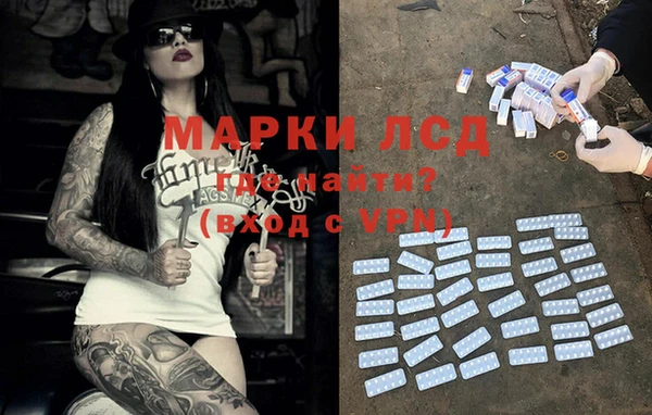 PSILOCYBIN Верхний Тагил