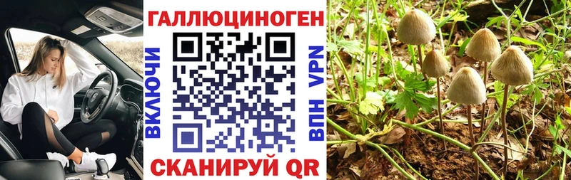 Галлюциногенные грибы ЛСД  как найти наркотики  Канаш 
